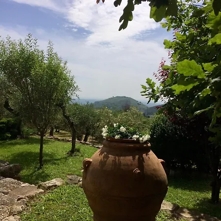 Il Nido Di Delia Daire Buti