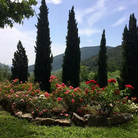 Il Nido Di Delia *